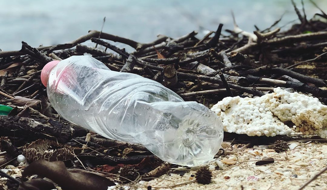 Driving Continuous Improvement: Reducing Waste for a Sustainable Future