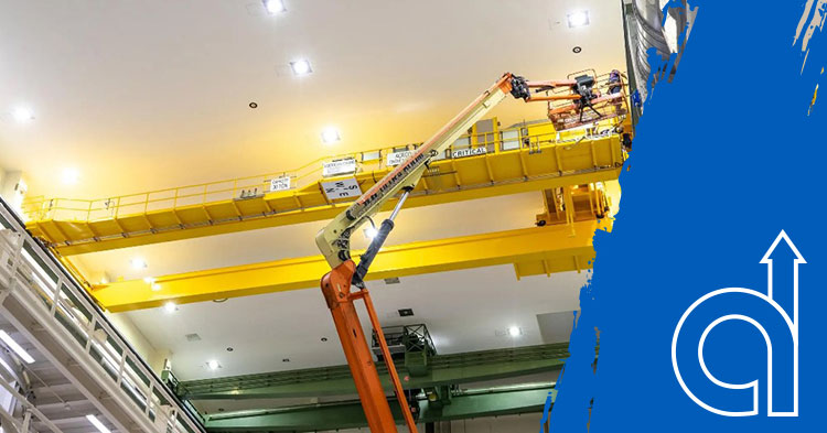 The Role of Cranes in Specialized Industries